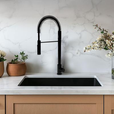 Waterevolution Flow mitigeur de cuisine semi-professionnel noir mat avec colonne et ressort T157PR