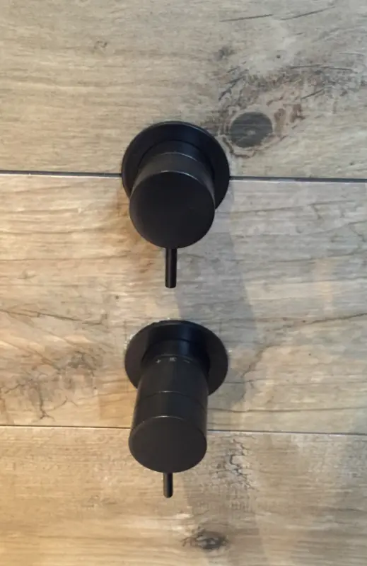 Thermostat de douche encastré Waterevolution Flow avec 2 sorties, noir mat avec rosace ronde 1208778072