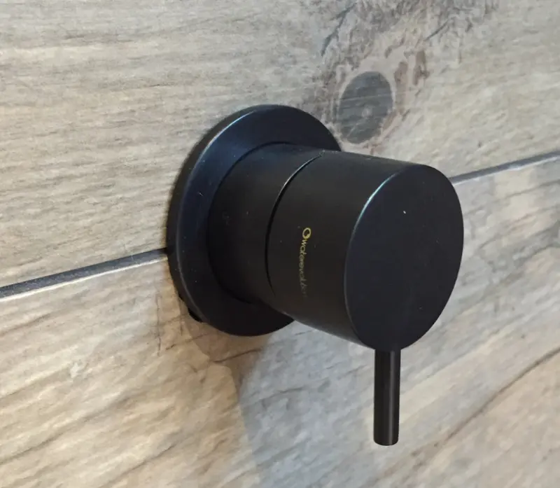 Waterevolution Flow Inverseur encastré 2 voies Noir mat avec rosace ronde T1482SPR