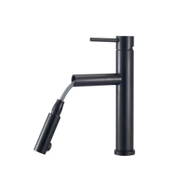 CARESSI Black Line mitigeur de cuisine avec bec extractible inox noir CA116BK U ECO 1208920652