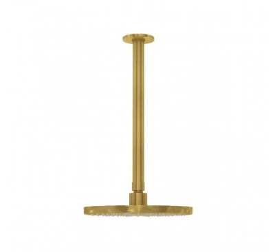 Waterevolution Flow pomme de douche 250 mm avec raccordement au plafond en laiton brossé T164225LE