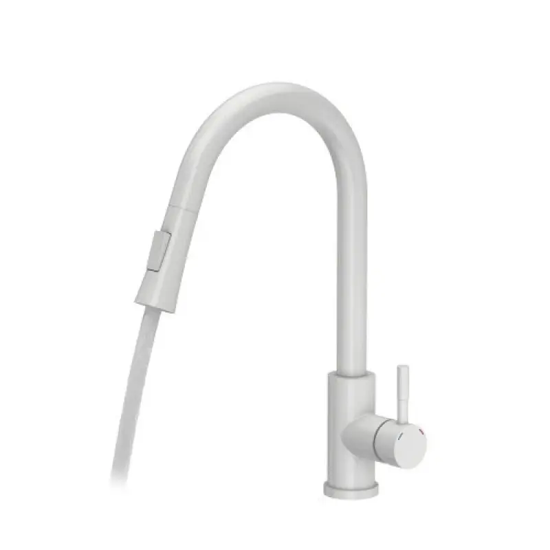 Quadri Leeds mitigeur de cuisine avec douchette extractible avec 2 réglages blanc mat 1208955908
