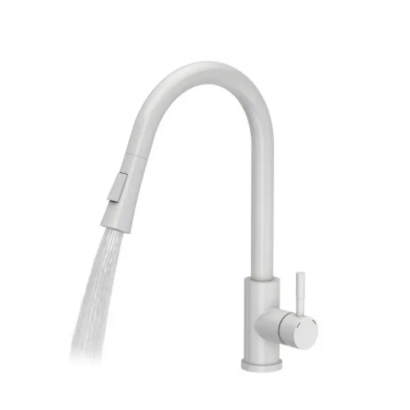 Quadri Leeds mitigeur de cuisine avec douchette extractible avec 2 réglages blanc mat 1208955908