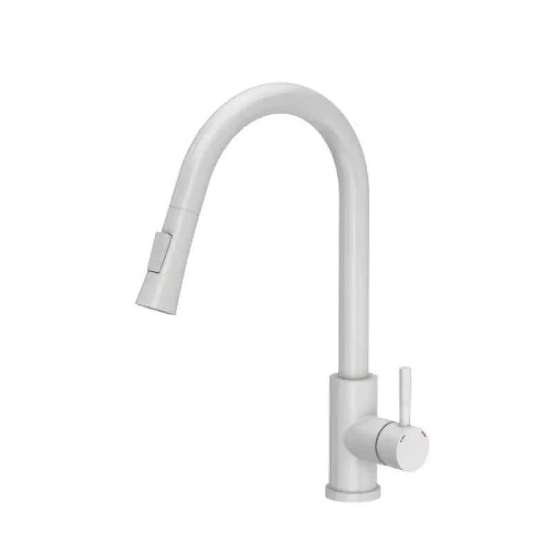 Quadri Leeds mitigeur de cuisine avec douchette extractible avec 2 réglages blanc mat 1208955908