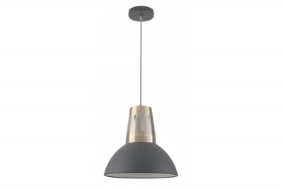 Decor Artemia Lampe à suspension anthracite avec finition industrielle 34,5 cm de diamètre 2324