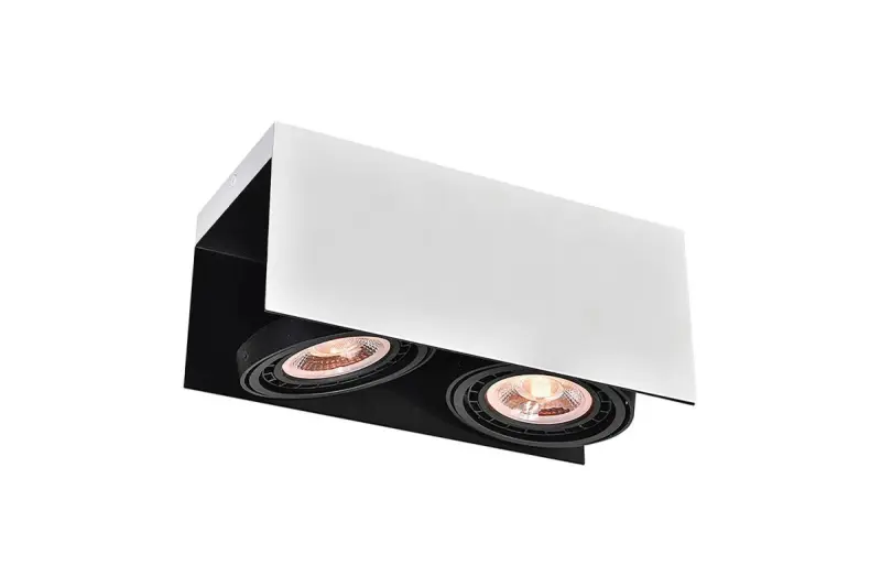 Decor Verso Plafonnier Noir et Blanc avec tête mobile 2 sources lumineuses 4250
