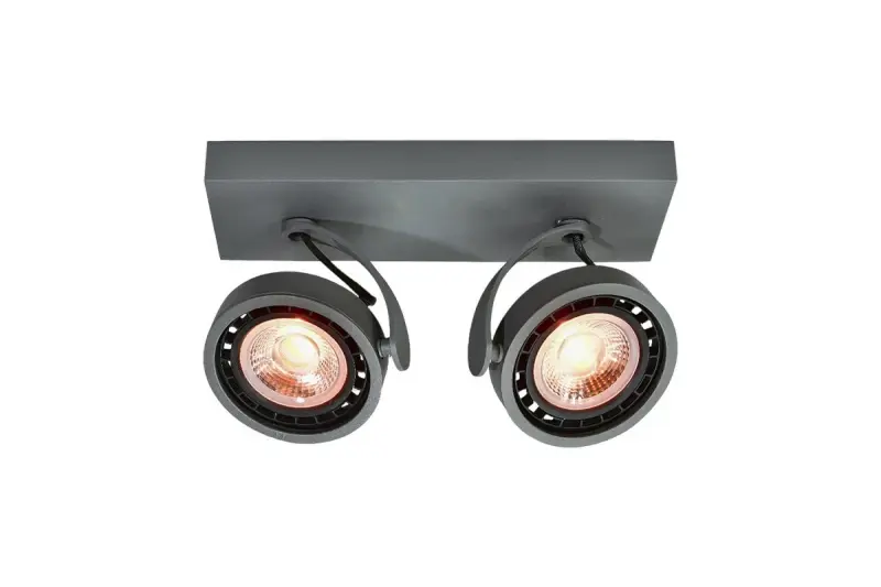 Décor Wally Plafonnier ou Applique anthracite à tête mobile 2 sources lumineuses 4304