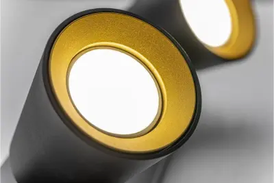 Decor Elli Plafonnier moderne noir avec 2 sources lumineuses 4557