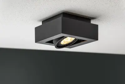 Décor Loid Plafonnier fonctionnel noir 1 source de lumière 4687