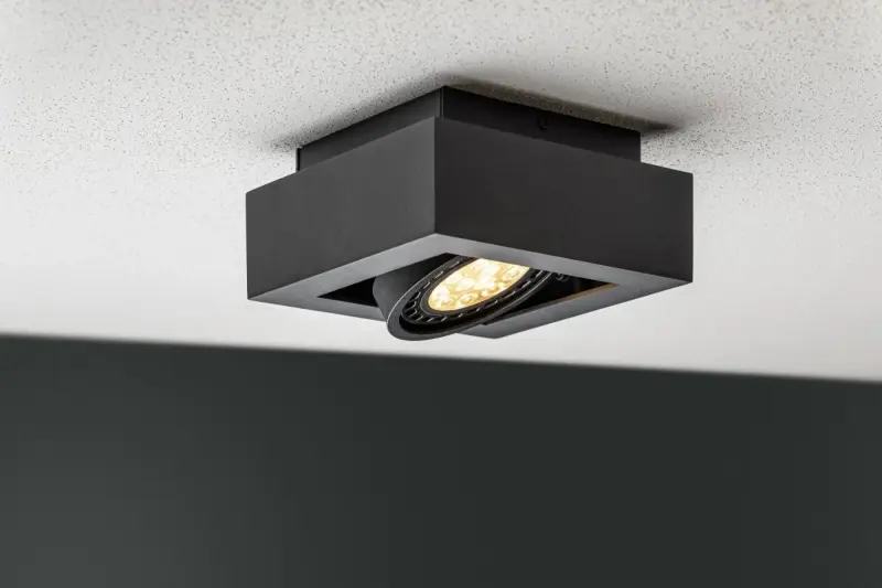 Décor Loid Plafonnier fonctionnel noir 1 source de lumière 4687