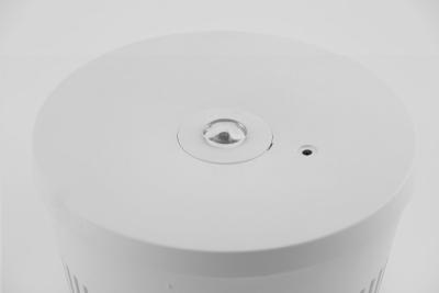Luminaire d'urgence OGLA LED, 3W, 200lm, AC220-240V, 50-60Hz, IP20, 6400K, 3H, tâche unique, bouton TEST 1208963016