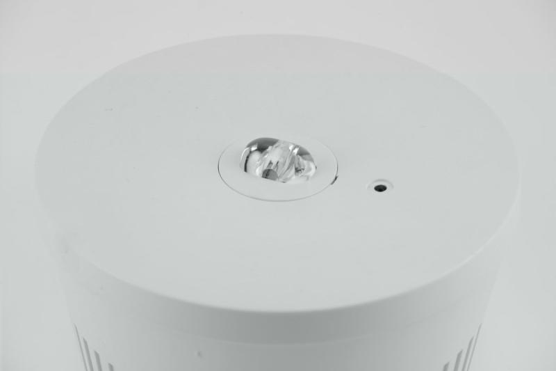 Luminaire d'urgence OGLA LED, 3W, 200lm, AC220-240V, 50-60Hz, IP20, 6400K, 3H, tâche unique, bouton TEST 1208963016