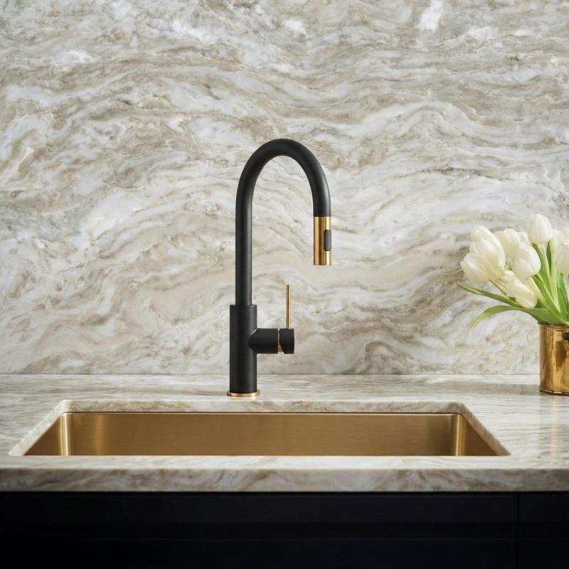 Quadri Retford Mitigeur de Cuisine Noir avec Finition Dorée et Bec Amovible avec Fonction Pulvérisation 1208967677